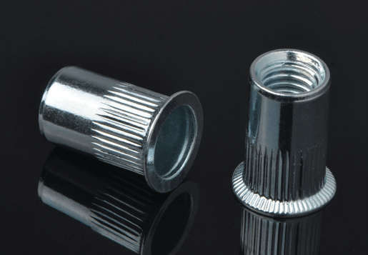 Steel Counter -Munk Głowa Królowa Nuto Nuts Nuts Otwarty Typ